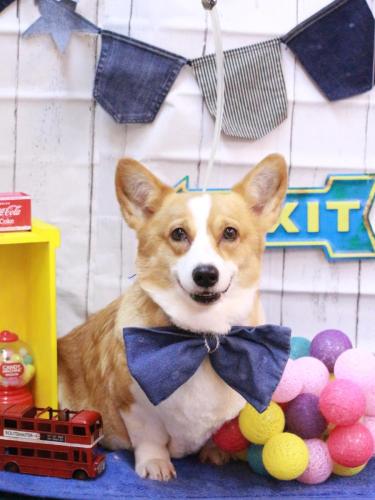 20230418リンちゃん